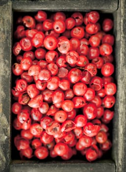 Colourful whole dried pink peppercorns with their red colouring used as a pungent spice and condiment in cooking, overhead view