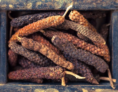 Long pepper, or Piper longum, is a hotter more pungent spice than black pepper used as a culinary spice and condiment