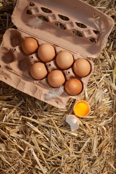 Overhead view of an opened cardboard box of fresh hens eggs on straw with one egg broken to reveal the dark yellow yolk and copyspace
