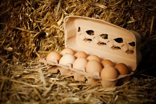 Close-up of ten fresh brown eggs in cardboard carton on straw
