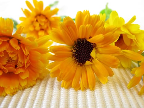 Marigolds