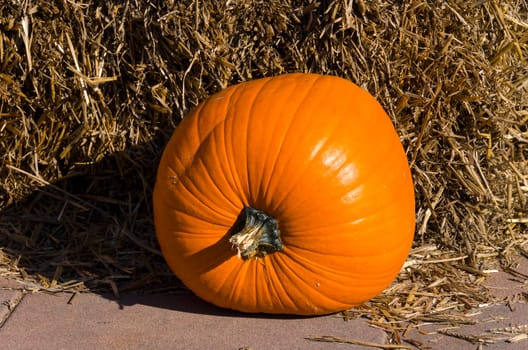 pumpkins and straw for halloween party