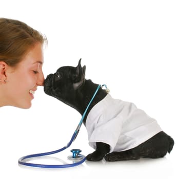 veterinary care - french bulldog doctor taking care of human patient on white background