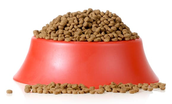 bowl of dog food isolated on white background