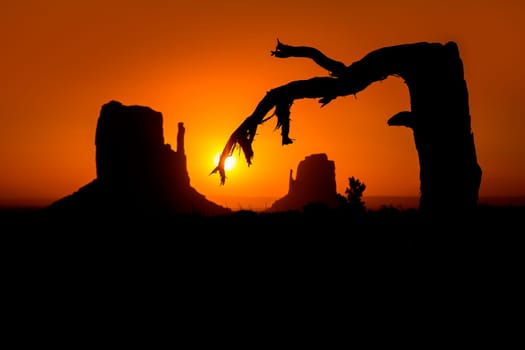 Sunrise at Monument Valley West and East Mittens Butte with dried branch tree