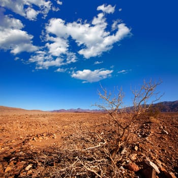 Death Valley National Park California Corkscrew Peak desert