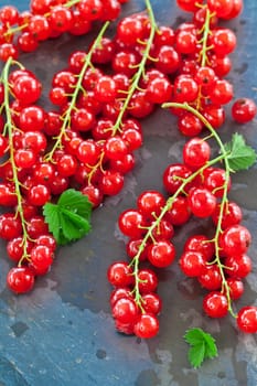 Fresh currants on rustic slate