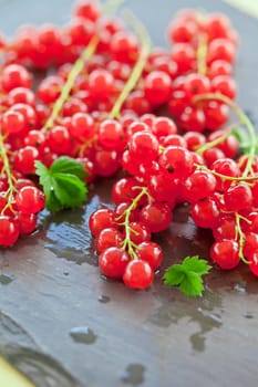 Fresh currants on rustic slate