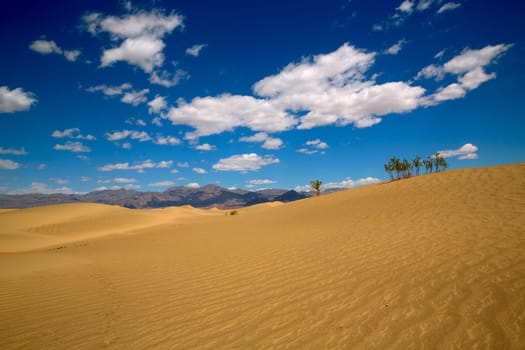 Mesquite Dunes desert in Death Valley National Park California