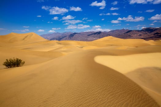 Mesquite Dunes desert in Death Valley National Park California