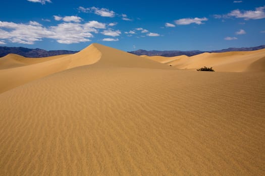 Mesquite Dunes desert in Death Valley National Park California