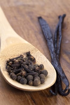 Spices on a wooden spoon,next to vanilla pods