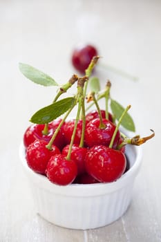 Freshly harvested cherries in a bowl