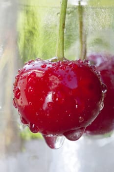 Single cherry with water drops as macro image