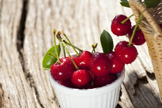Juicy red cherries with sparkling drops of water