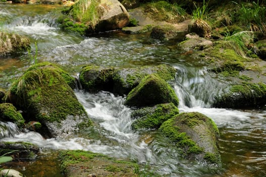 Stream