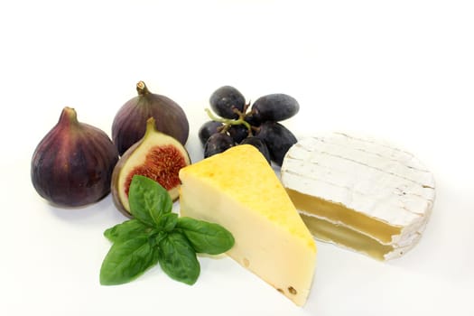 different cheeses against a white background