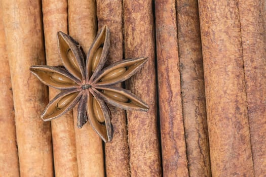 Cinnamon sticks set and star anise showing its wooden texture