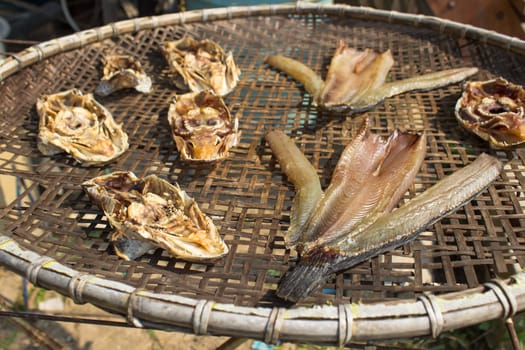 Sundried fish or Dried fish processed through sun drying or dehydration is highly concentrated fish compared to other preserved form of fish.