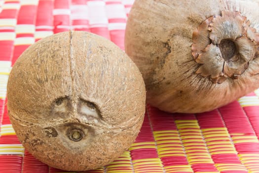 coconut fruits Eye is two round depressions are found on one end of.the coconut fruit. Look like the eyes and nose.