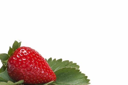 Strawberries with their leaves isolated on a white background