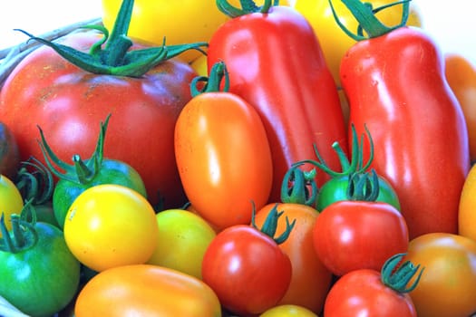 different tomato varieties in numerous colours (Solanum lycopersicum)