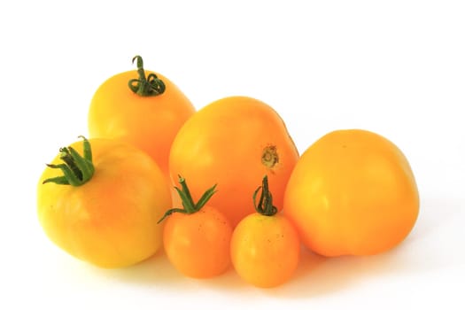 Yellow tomatoes (Solanum lycopersicum) - exposed against a white background