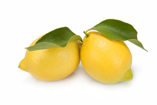 Fresh lemons isolated on a white background