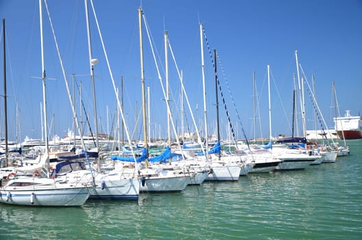 Yachts in marina in Livorno, Italy