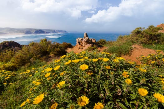 Beautiful landscape view of coastal Algarve region near Sagres, Portugal.