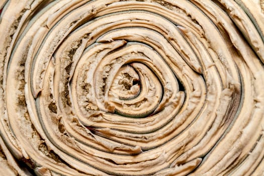 Close up view of a slice from an agave plant.