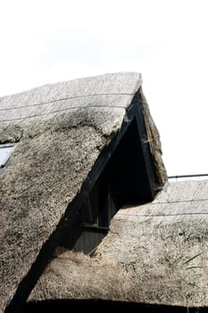 The photograph of the roof of a fisherman's hut.