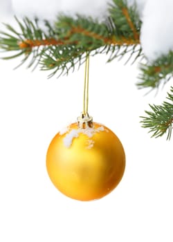 christmas tree branch with snow and ornament