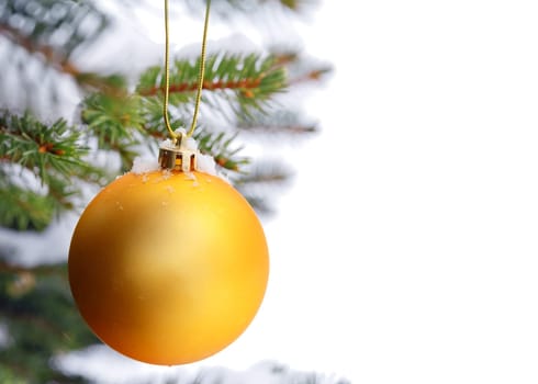 christmas tree branch with snow and ornament