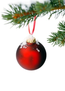 christmas tree branch with snow and ornament