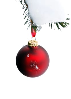 christmas tree branch with snow and ornament