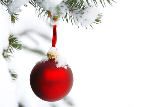 christmas tree branch with snow and ornament