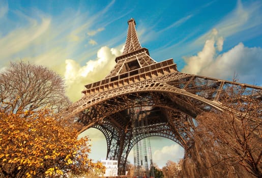Wonderful street view of Eiffel Tower and Winter Vegetation - Paris.