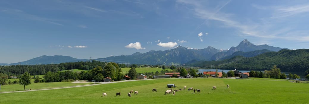 Panorama at Lake Weissensee in the Allgäu / Bavaria