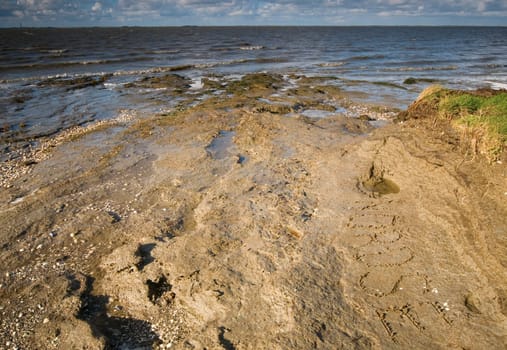 View of the North Sea beach at Hilgenriedersiel near the city of Norden / Lower Saxony at the beginning of sunset with fragments of the adjacent pasture land