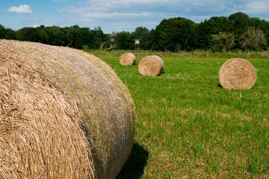 Straw bales in roll form on a harvested field in Brandenburg / Germany