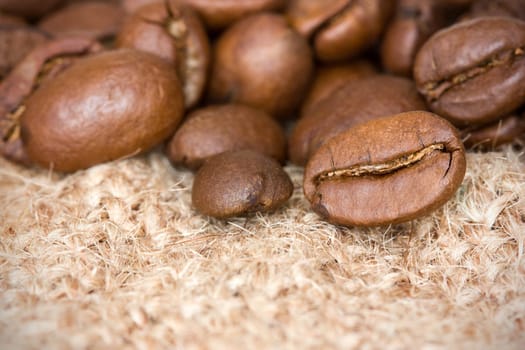 Close-up of coffee beans on the burlap texture