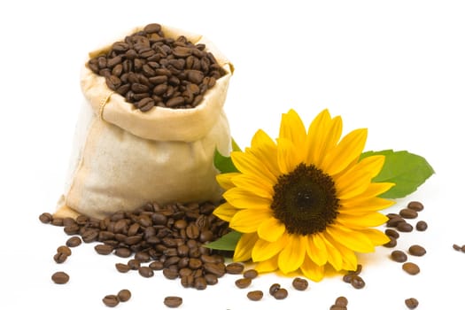 A bag of coffee beans and sunflowers