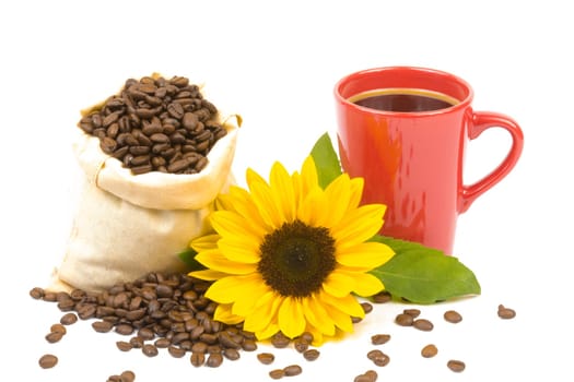 A bag of coffee beans,a cup and a sunflower