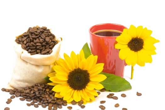 A bag of coffee beans,a cup and sunflowers