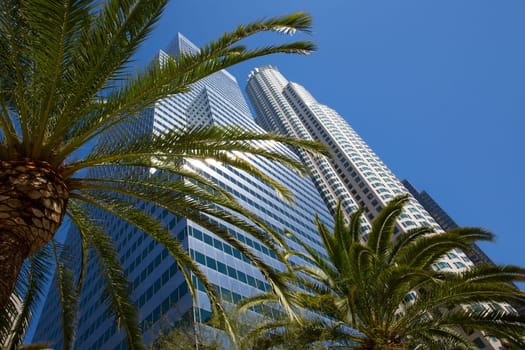 Downtown LA Los Angeles skyline California with palm trees