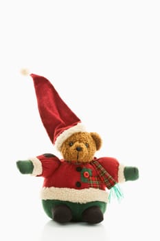 Christmas Bear