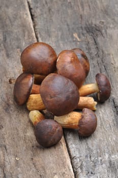 mushrooms on wooden table