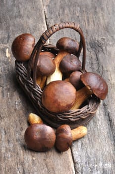 mushrooms in basket on wooden table