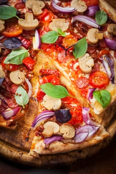 Pizza with dried tomatoes, salami and basil